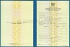 Стоимость Свидетельства о Повышении Квалификации 1997-2018 г. в Дмитрове и Московской области