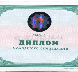 Диплом Техникума Украины  2001г в Москве